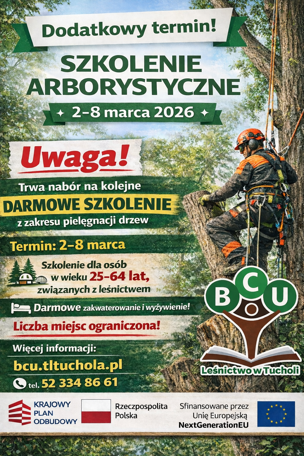 Szkolenie z zakresu pielęgnacji drzew - Arborystyka